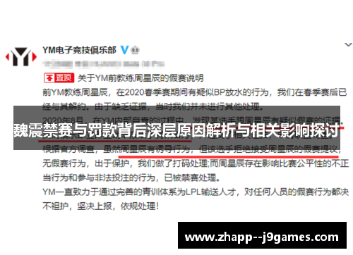 魏震禁赛与罚款背后深层原因解析与相关影响探讨